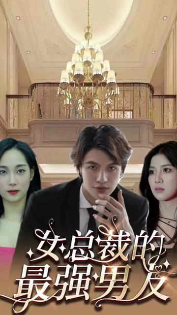 风雪满江红&女总裁的上门女婿(104集)